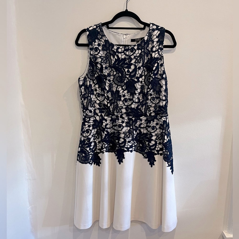 White / Navy Blue Embroidery A-line Dress